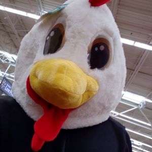 Meet your Posher, Alex